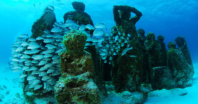 Paradise Snorkel